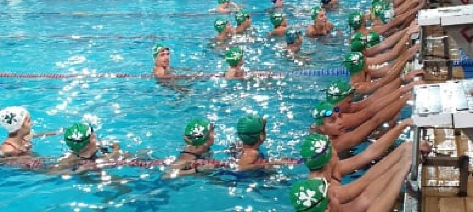 «Πράσινες» παρουσίες στους τελικούς