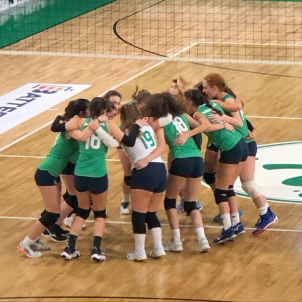 Τα «πράσινα» πλασαρίσματα