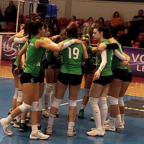 «Τριφυλλάκια» εν δράσει