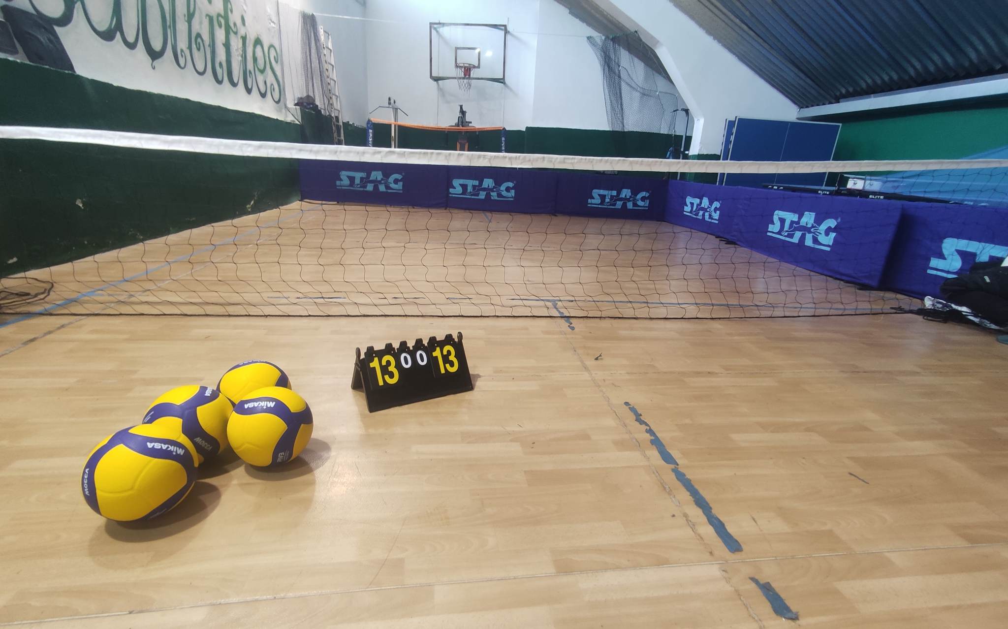 «Ανθίζει» το sitting volleyball  με… ώθηση από το Green North Club