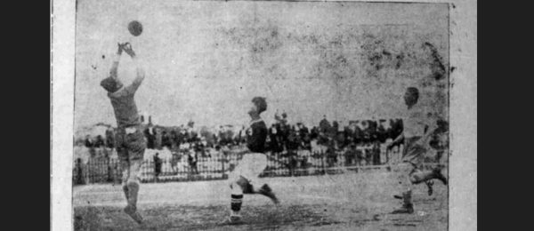 Τα Πράσινα Πουλιά Αμπελοκήπων