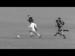 Τα Πράσινα Πουλιά Ανθούπολης