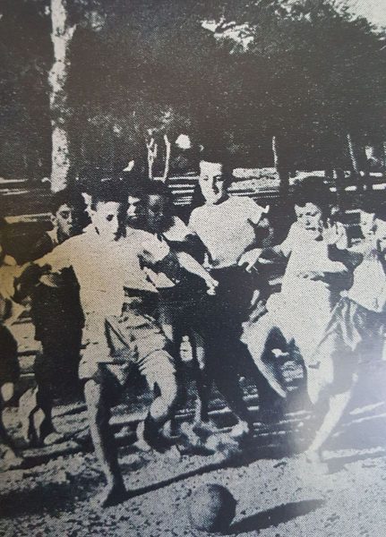 Τα Πράσινα Πουλιά Ζαρουχλέικων