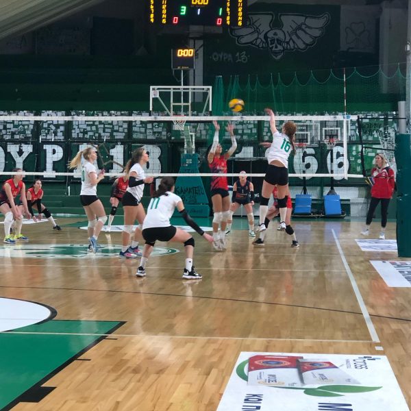 Πέντε στα πέντε οι ακαδημίες βόλεϊ!