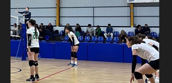 Επιτυχίες στο φιλέ και Final 8