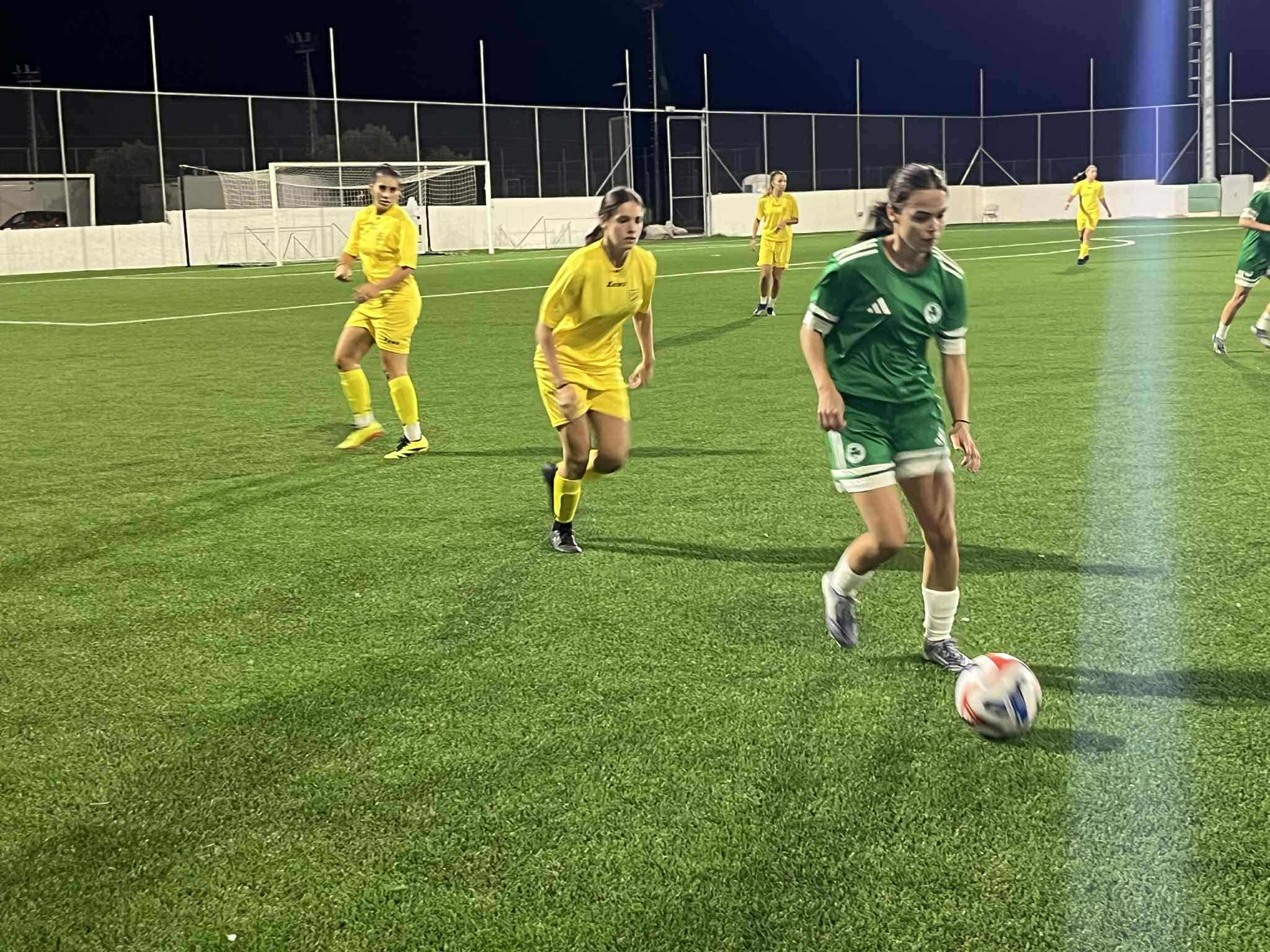 Φιλική νίκη