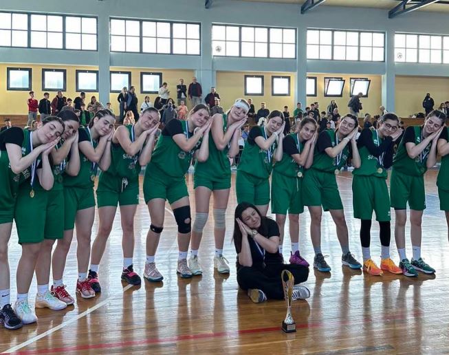 Παναθηναϊκός και Αετοί Λάρισας