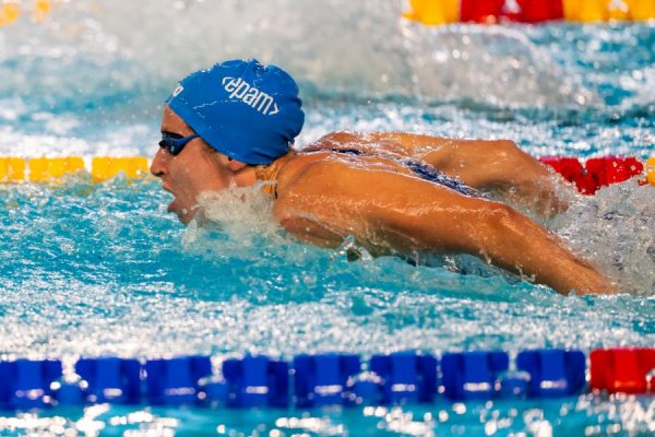 Το…φαινόμενο της «πράσινης»  Πεταλούδας!