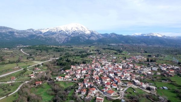 Παναθηναϊκός και ΑΕ Πάλιουρας Εύβοιας