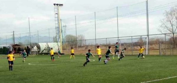 Παναθηναϊκός Φλώρινας