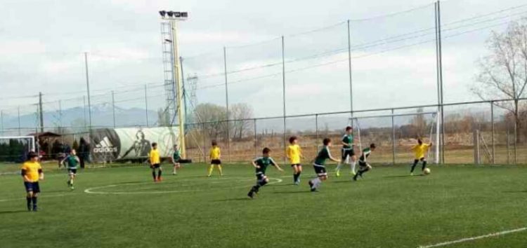 Παναθηναϊκός Φλώρινας