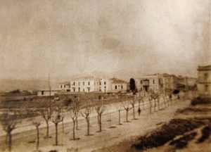 Ο «πράσινος» παίκτης Αράπογλου