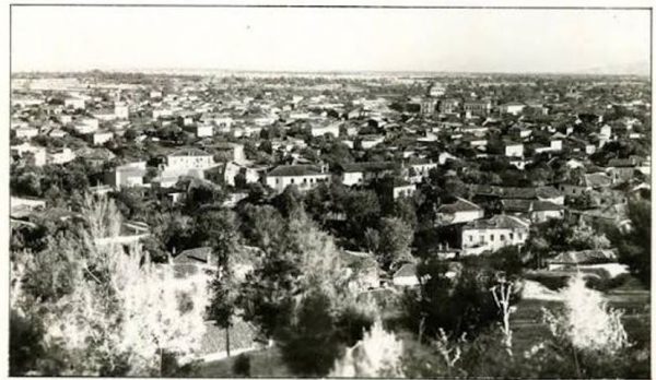 ΠΑΝΑΘΗΝΑΪΚΟΣ ΤΡΙΚΑΛΩΝ