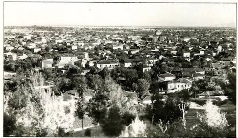 ΠΑΝΑΘΗΝΑΪΚΟΣ ΤΡΙΚΑΛΩΝ